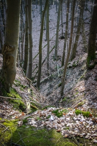 Blick tief hinunter in den Böhlgrund