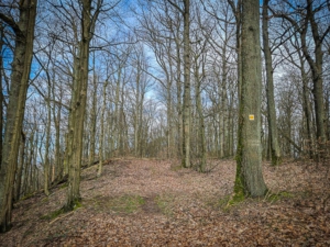 Weg an der Bergkante entlang mit gelben K5-Wegweisern