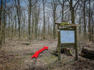 An alter Infotafel vorbei und übers Bergplateau