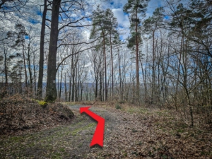 Auf breitem Schotterweg nach Linkskurve vom Plateau hinab