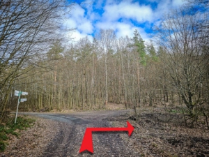 Scharf nach rechts auf einen naturbelassenen Pfad in den Böhlgrund