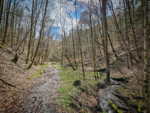 Weg im wieder flacheren Talgrund