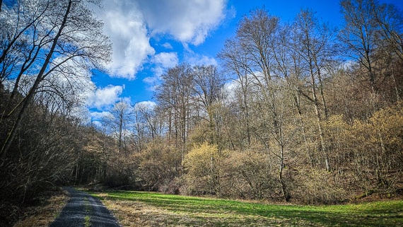 Knetzberg wandern