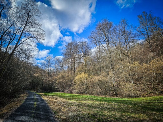 Knetzberg wandern