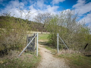 Fußgänger-Tor an Weidekoppel