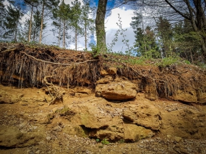 Böschung mit Dogger Gestein