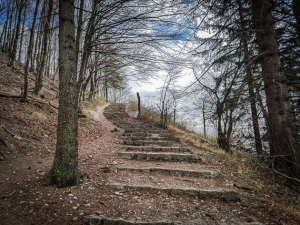 Breite Waldtreppe