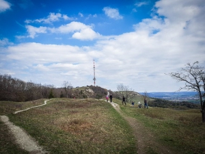 Blick über Höhenrücken zum Turm