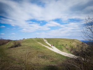 Blick hinüber zur Osterwiese