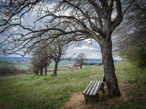 Sitzbank am westlichen Hang