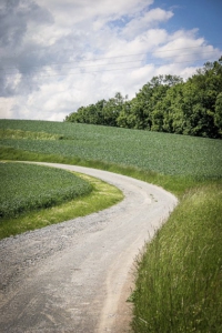 Schotterweg hinaus ins Freie