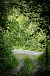 Weg mündet auf Schotterweg