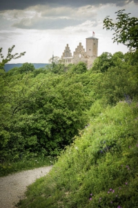 Blick zur Trimburg