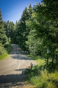 Weg hinter Schlossbergkapelle in den Wald