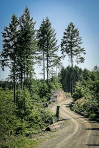 Höhenweg mit viel Licht