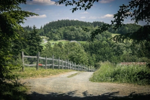 Weg Richtung Wolfersgrün