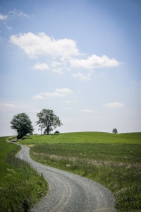 Richtungs Weilesberg über freie Hochflläche