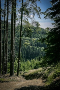 Hinunter ins Tal der Wilden Rodach