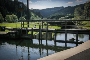 Startpunkt der Frankenwalt Floßtouren