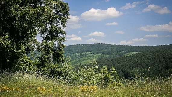 Wandern Wallenfelser Höhenweg