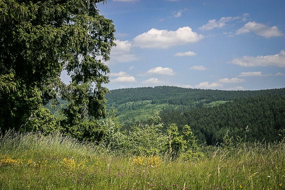 Wandern Wallenfelser Höhenweg