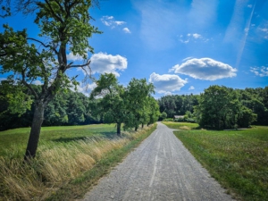 Weg bergan in Richtung Waldrand