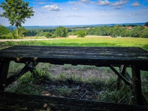 Ausblick von alter Holzbank-Sitzgruppe am Waldrand