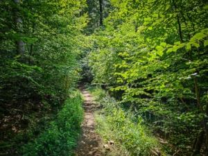 Natürlich schöner Wanderpfad