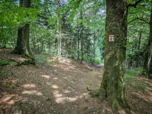 Breiter Weg der - mit einer Furche in der Mitte - bergab führt