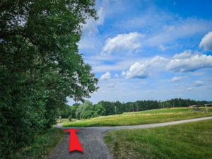 Weg außen gerade an Hecke entlang