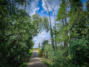 Rückweg nach Haimendorf