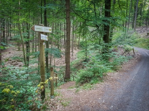 Wegweiser zum Hirschbrunnen