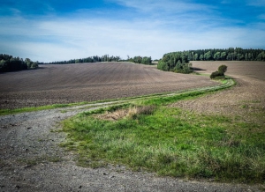 Weg zwischen Feldern