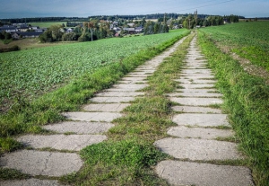 Alter Platten-Weg