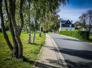 Straße von Bäumen flankiert