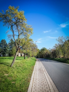 Weg vom Parkplatz hinein nach Großenbuch