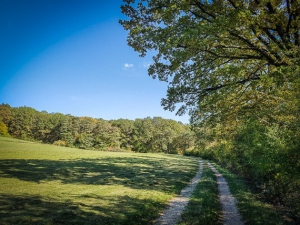 Weg an Hecke entlang