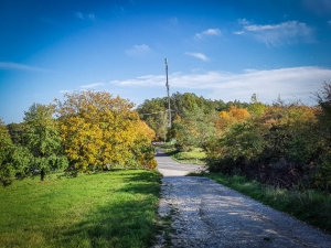 Weg hinunter zur Landstraße