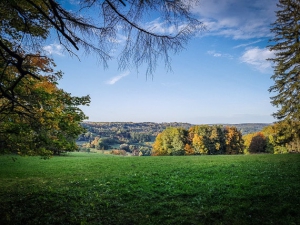 Wiese mit Ausblick am Waldrand