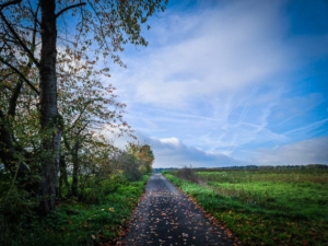 Startpunkt geteerter Flurweg Ortsrand