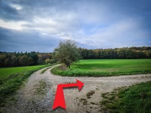 Etwa 100 m vor dem Waldrand nach rechts oben abbiegen