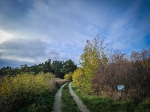 Hinweis-Schild vor den Hecken