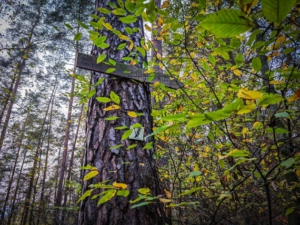 Wegweiser aus Holz zur Ruine Windeck