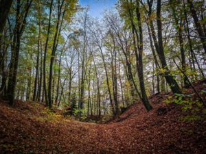 Wandern Burgebrach Ruine Windeck