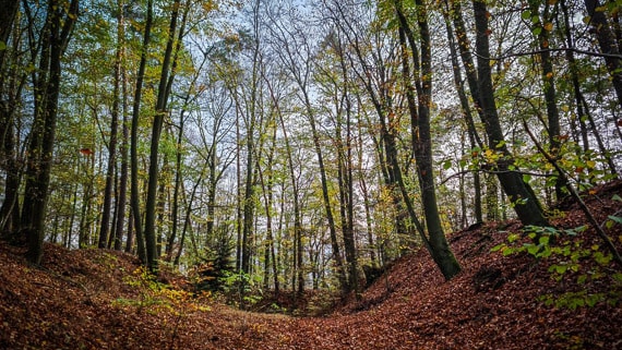 Wandern Burgebrach Ruine Windeck