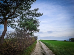 Weg zurück nach Burgebrach