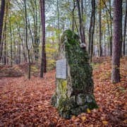 Burgebrach Burg Windeck