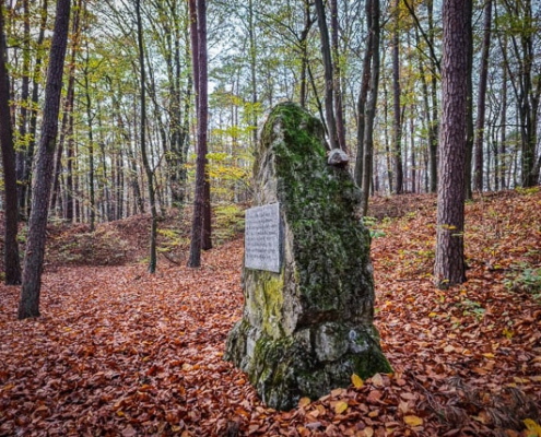 Burgebrach Burg Windeck