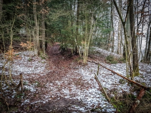 Weg überquert Bach