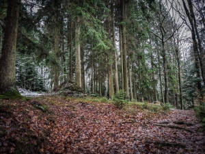 Auf Anhöhe links abbiegen